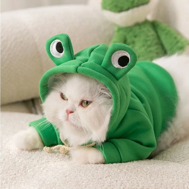 Autumn Winter Funny Cute Cartoon Animal Sweater Little Frog Hooded Fleece-Lined Pullover for Dogs Cats Polyester New Year's Red