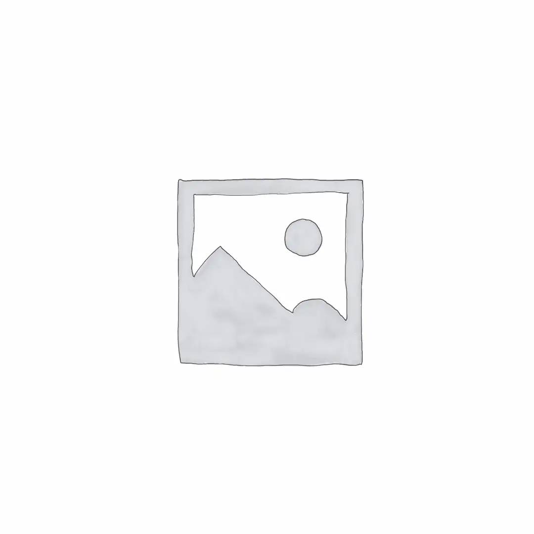 AIZN R5 Product Robust