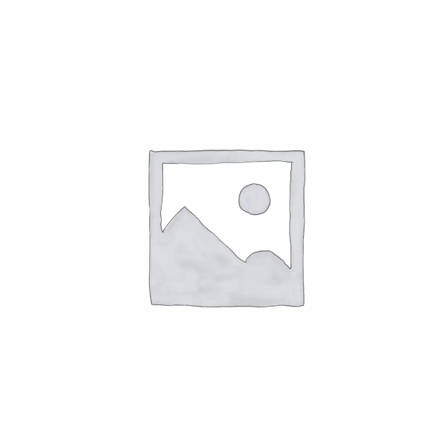 AIZN R5 Product Robust
